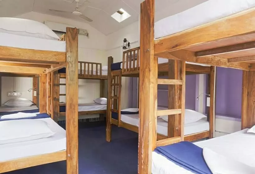 Zostel Coorg   Hostel