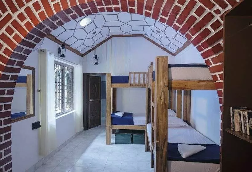 Zostel Coorg   Hostel