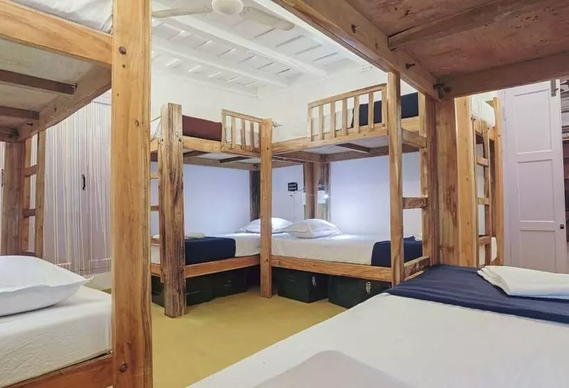 Zostel Coorg   Hostel