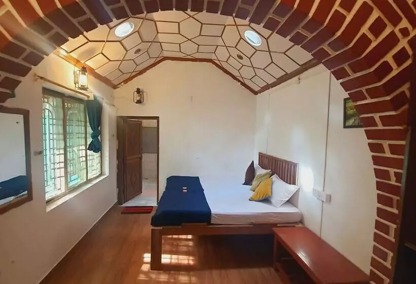 Zostel Coorg   Hostel