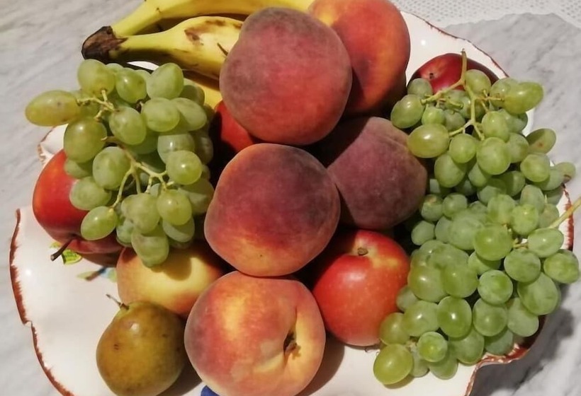 住宿加早餐  Books&bikes