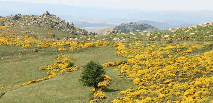 ベッドアンドブレックファースト Chambres Et Table D Hôtes La Combette