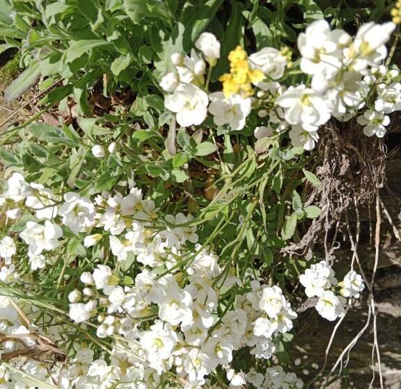 ベッドアンドブレックファースト Chambres Et Table D Hôtes La Combette