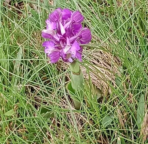 ベッドアンドブレックファースト Chambres Et Table D Hôtes La Combette