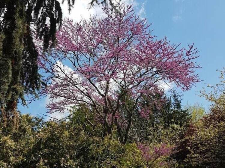 مبيت وإفطار Chateau De L Allee