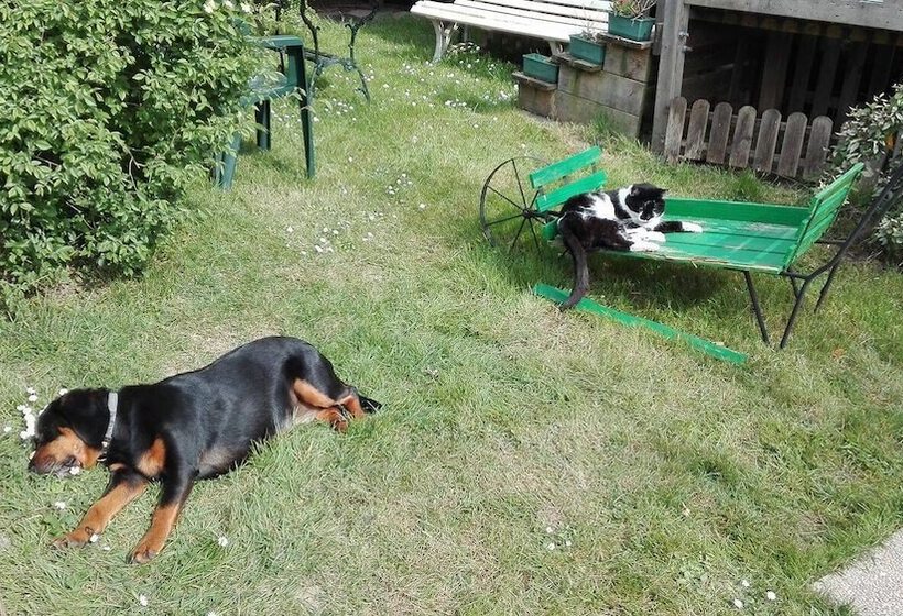 בית מלון כפרי Camping Loisirs Des Groux