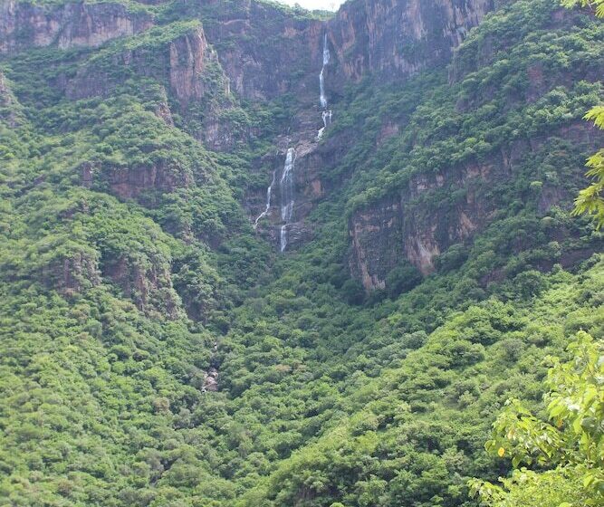 Hotel Ejecutivo Temoris