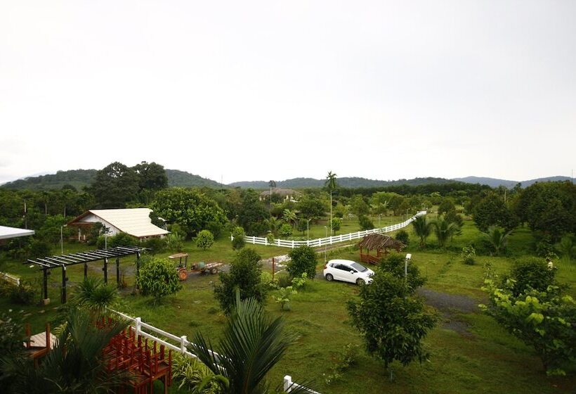 בית מלון כפרי Our Eco Farm