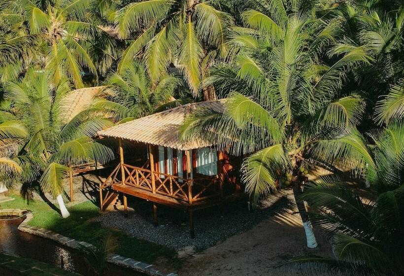 ホテル Palm Beach Chales & Resto