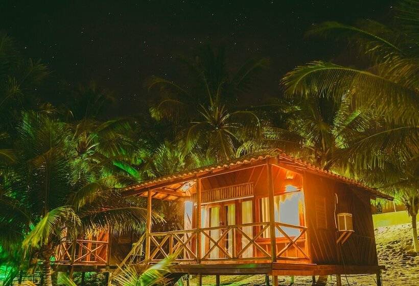 ホテル Palm Beach Chales & Resto