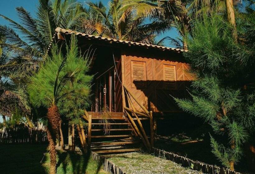 ホテル Palm Beach Chales & Resto