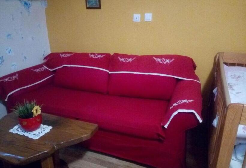 بنسيون Stara Vodenica