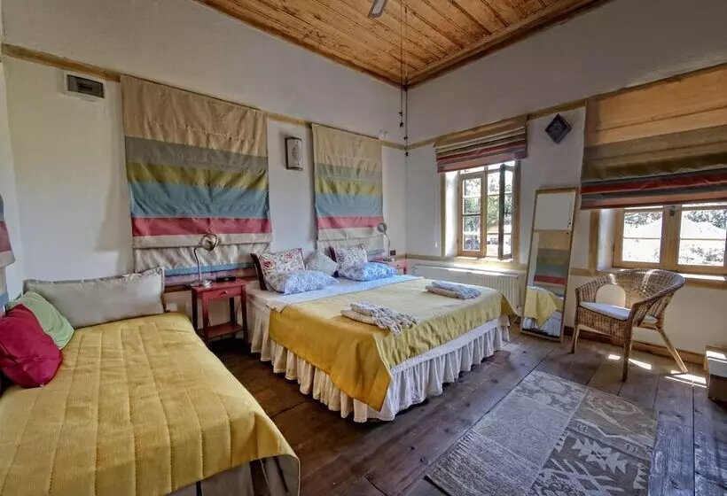 Birgi Hotel Saliha Hanim Tas Konak