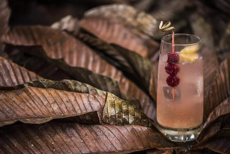 ホテル Mashpi Lodge