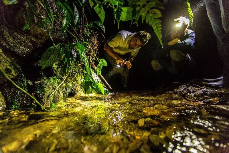 ホテル Mashpi Lodge