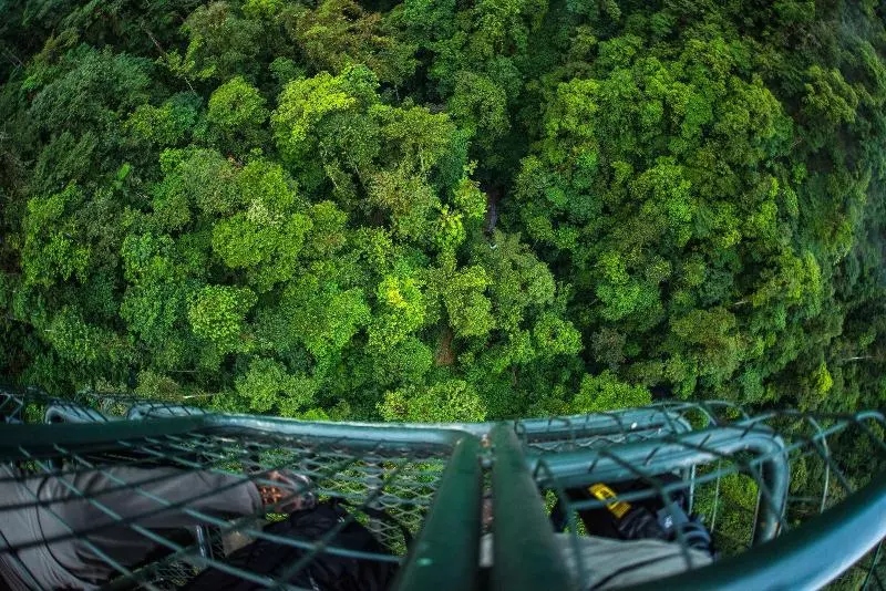 ホテル Mashpi Lodge