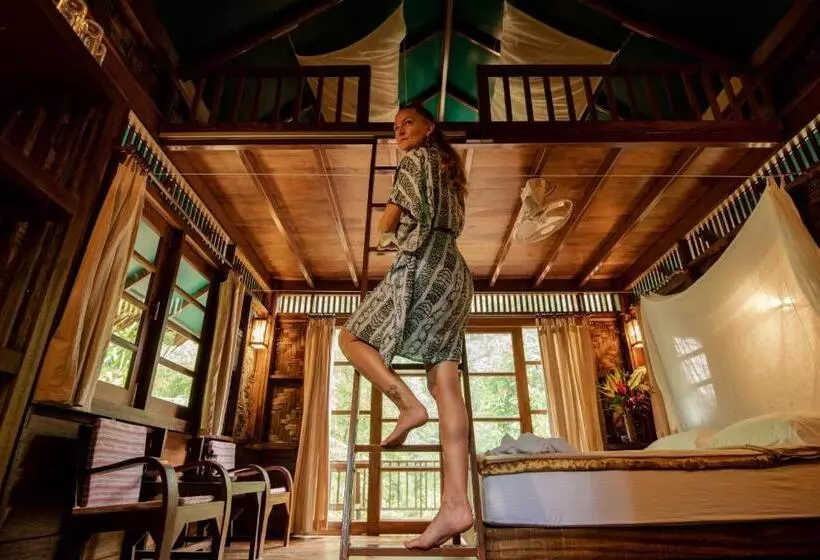 ホテル Our Jungle Camp   Eco Resort