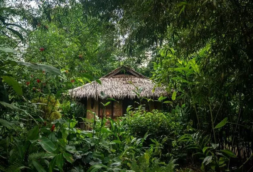 ホテル Our Jungle Camp   Eco Resort