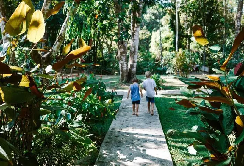 ホテル Our Jungle Camp   Eco Resort
