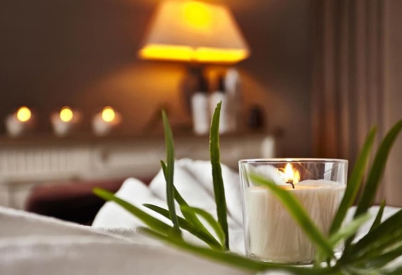 酒店 Palac Mala Wies