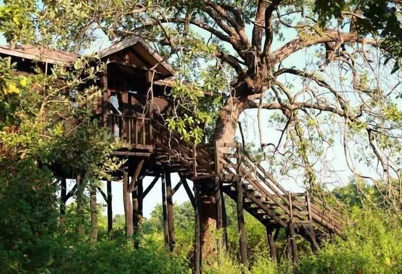 Hotelli Pugdundee Safaris   Pench Tree Lodge