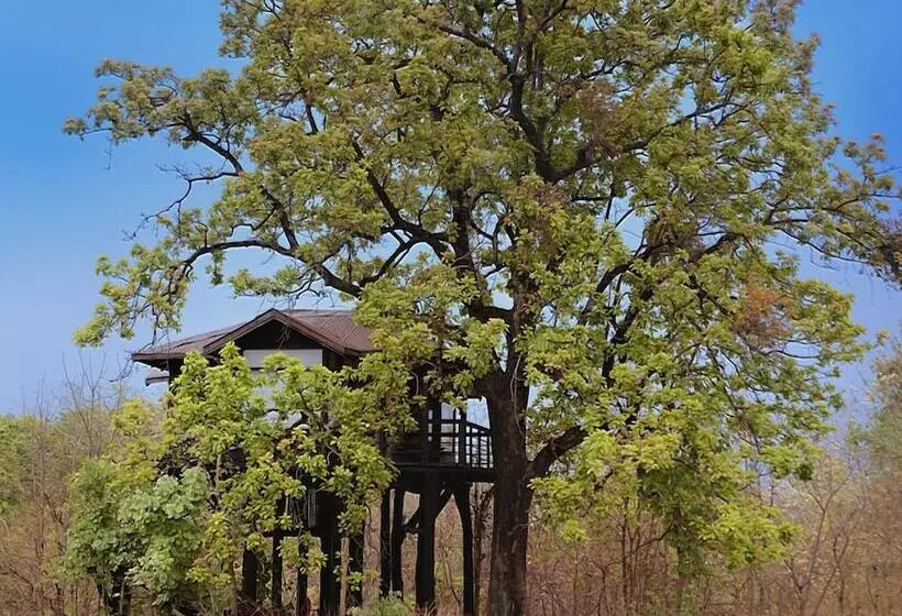 Hotelli Pugdundee Safaris   Pench Tree Lodge