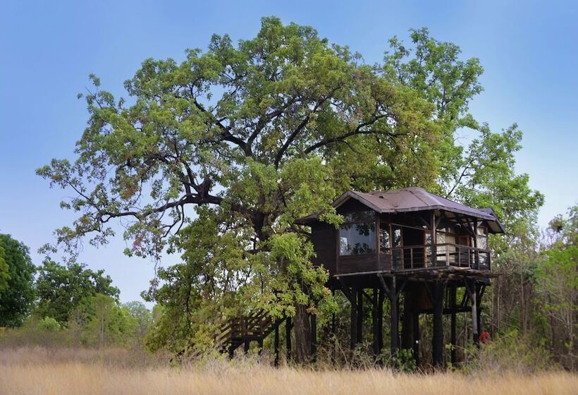 בית מלון כפרי Pugdundee Safaris   Pench Tree Lodge