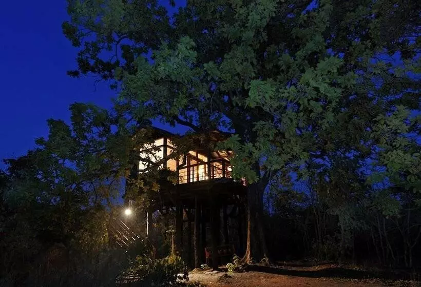 Hotelli Pugdundee Safaris   Pench Tree Lodge