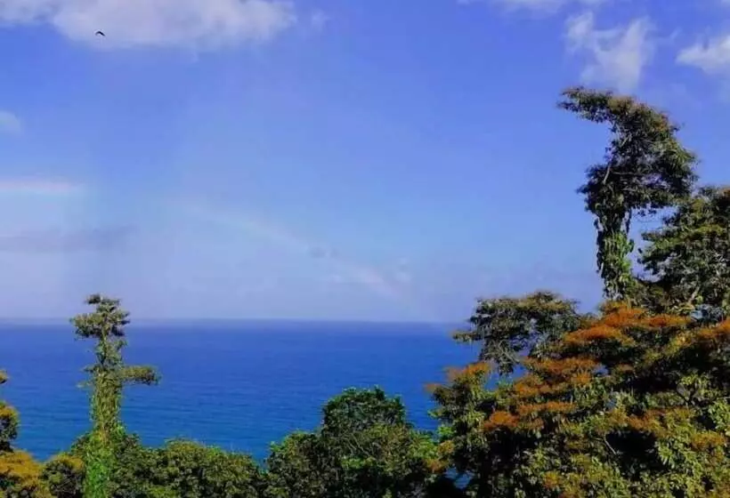 ホテル Rancho Juancho