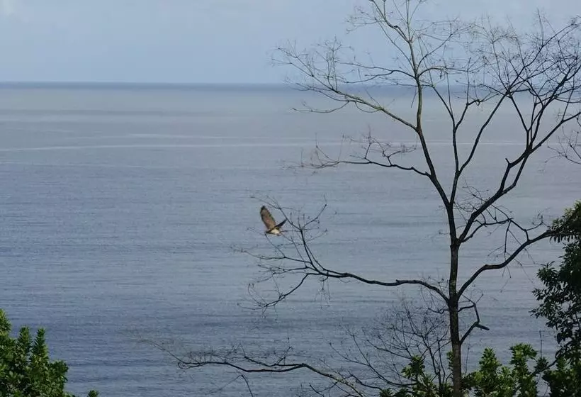 ホテル Rancho Juancho