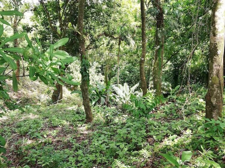 هتل Rancho Juancho