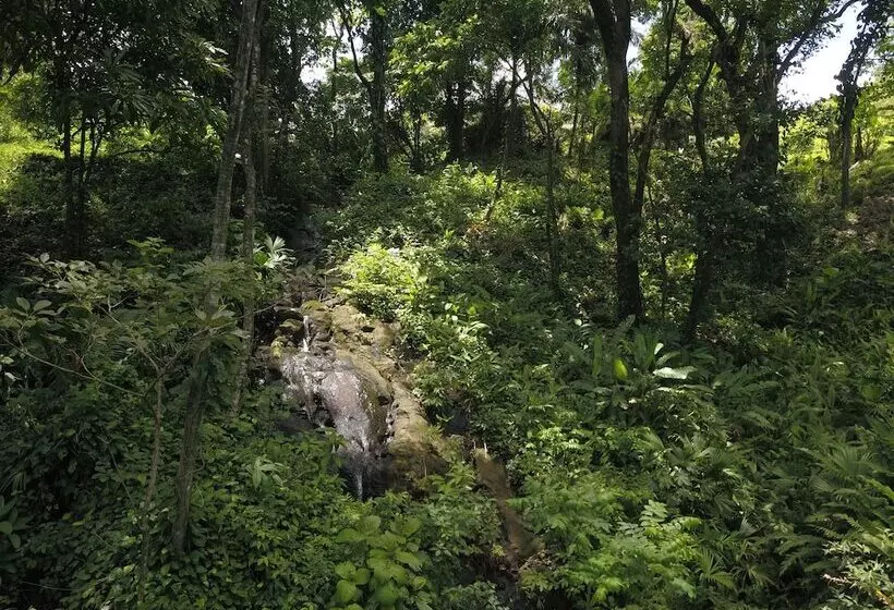 ホテル Rancho Juancho