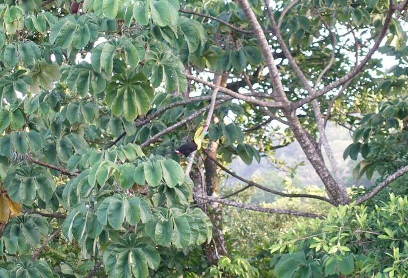 هتل Rancho Juancho