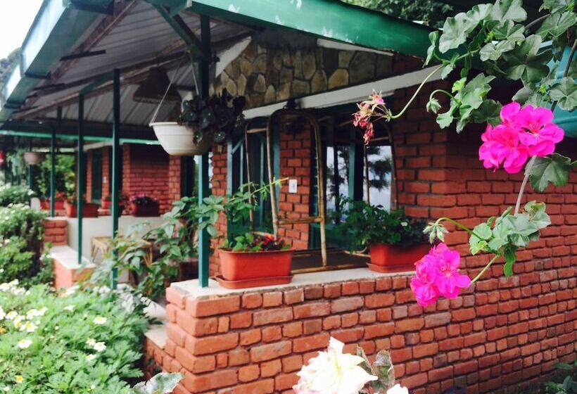 Отель Room On The Roof By Himalayan Eco Lodges