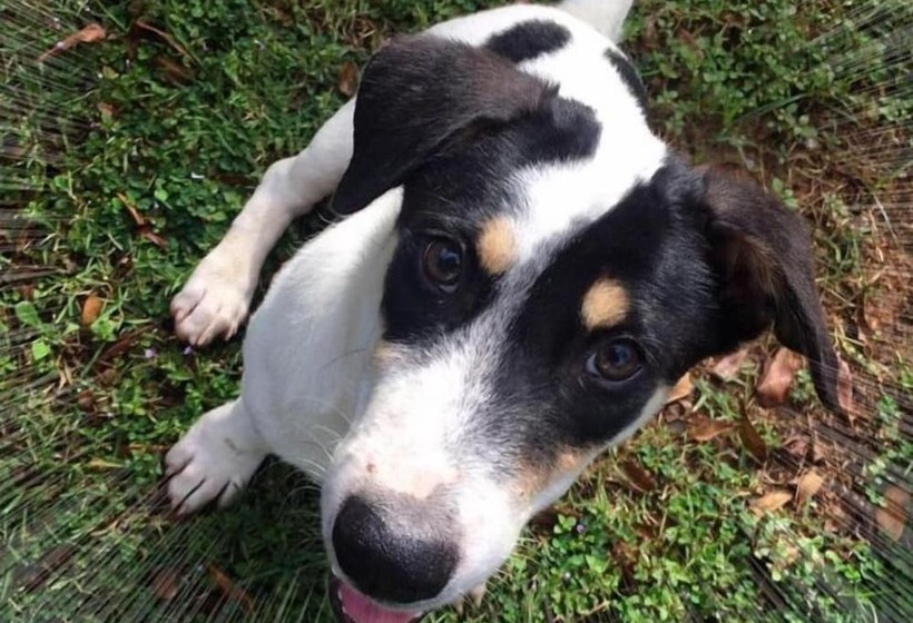 酒店 The Resort Kabinburi