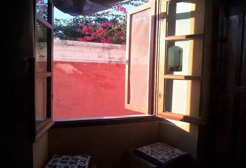 ペンション Jardim Dos Aloés   Unique B&b