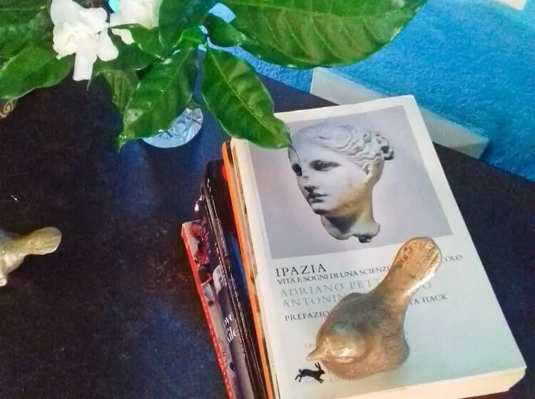 ペンション Jardim Dos Aloés   Unique B&b