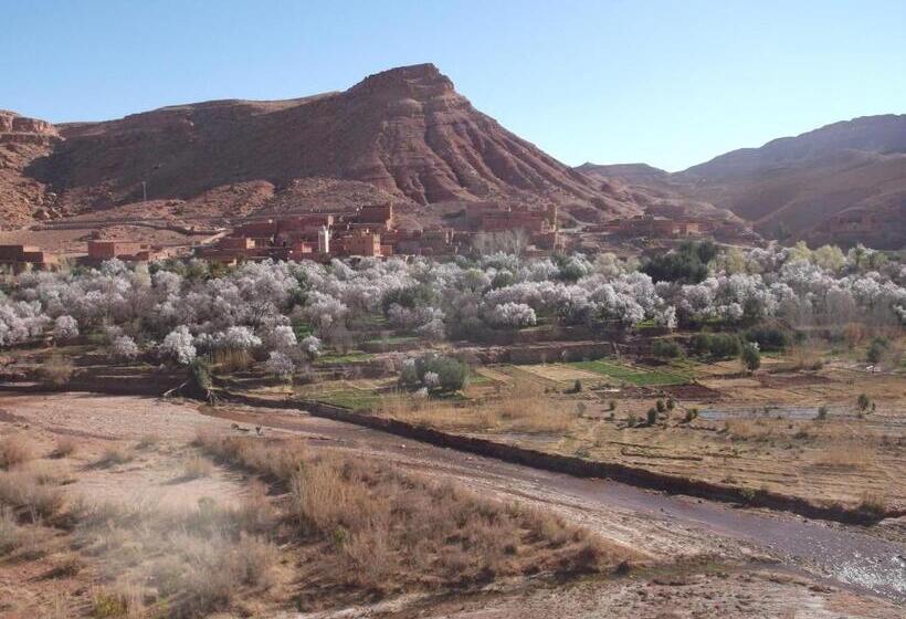 Пансион Kasbah Ounila