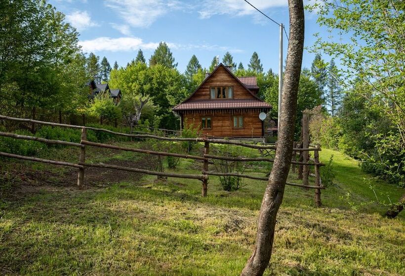 膳宿费 Lesniczowka  Przytulia