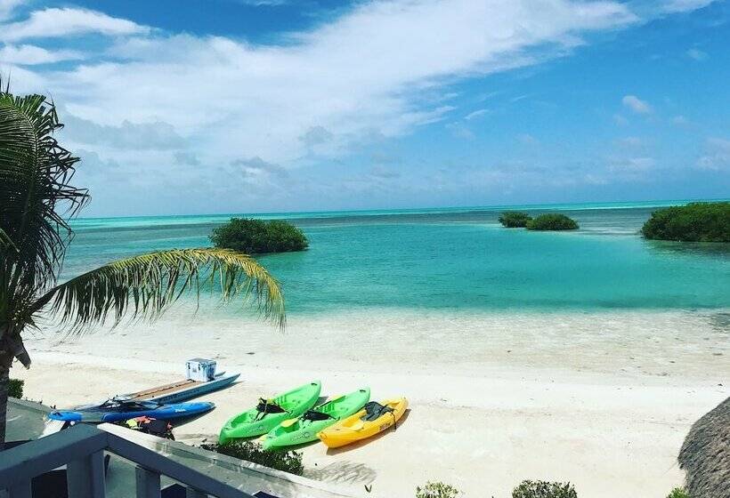 Shaka Caye