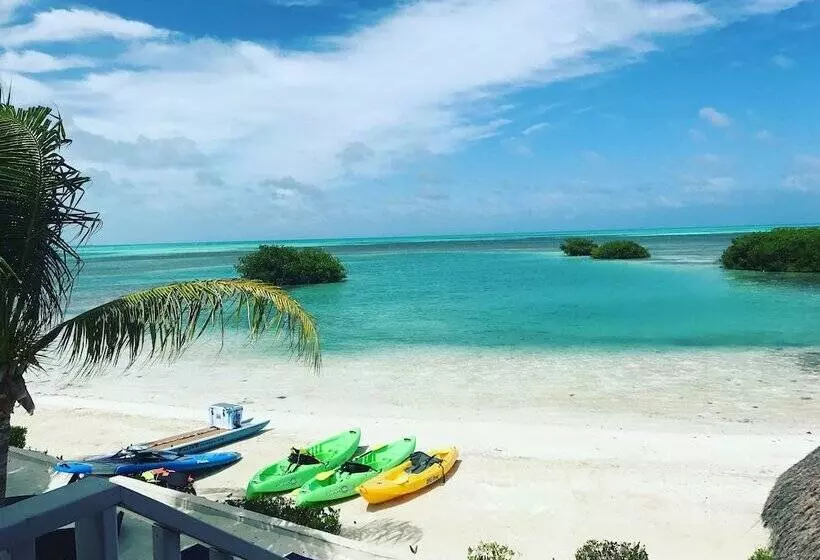 Shaka Caye