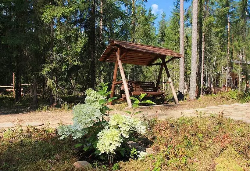 Shishki Na Lampushke   Russkaya Derevnya