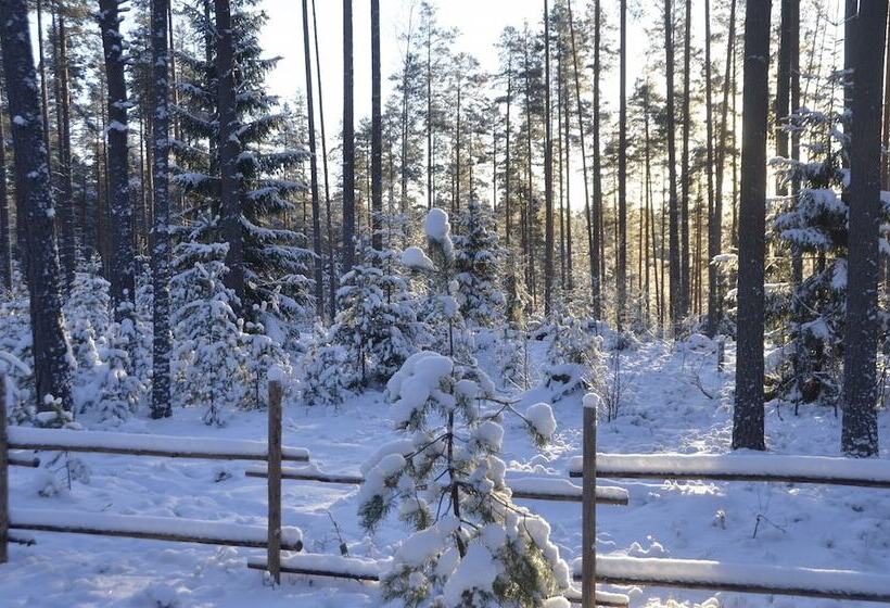 Shishki Na Lampushke   Russkaya Derevnya