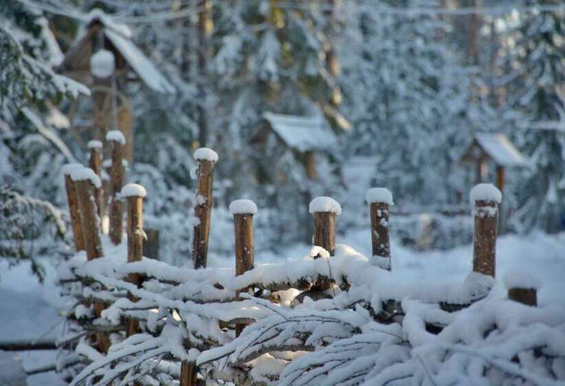 Shishki Na Lampushke   Russkaya Derevnya