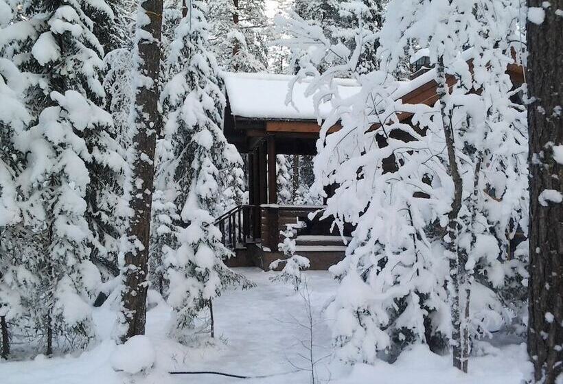 Shishki Na Lampushke   Russkaya Derevnya