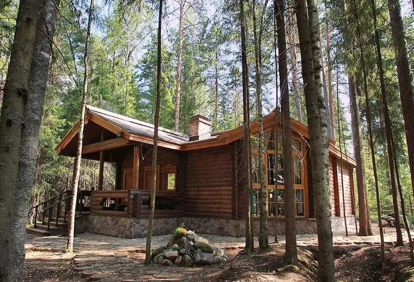 Shishki Na Lampushke   Russkaya Derevnya