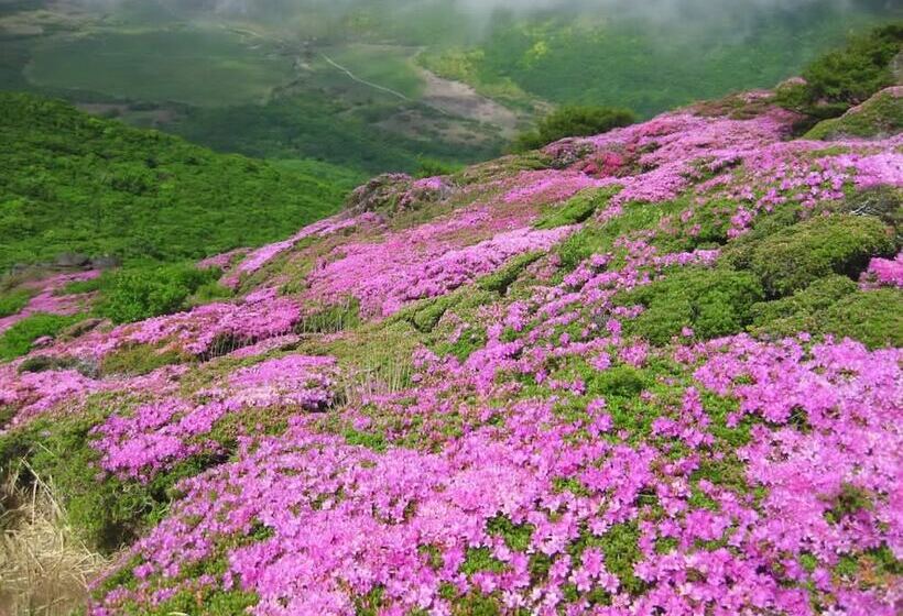 בית מלון כפרי Auberge   A Ma Façon