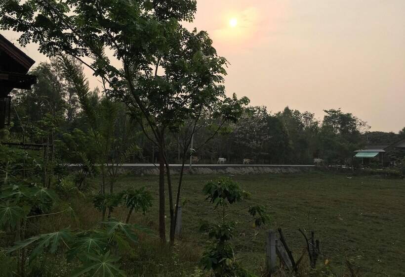 فندق Songphu Homestay