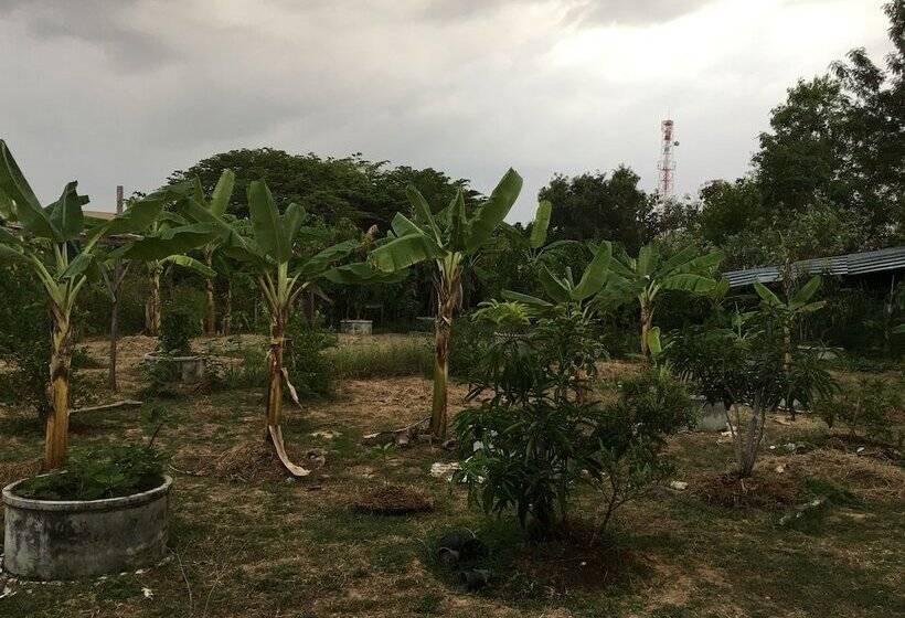 فندق Songphu Homestay