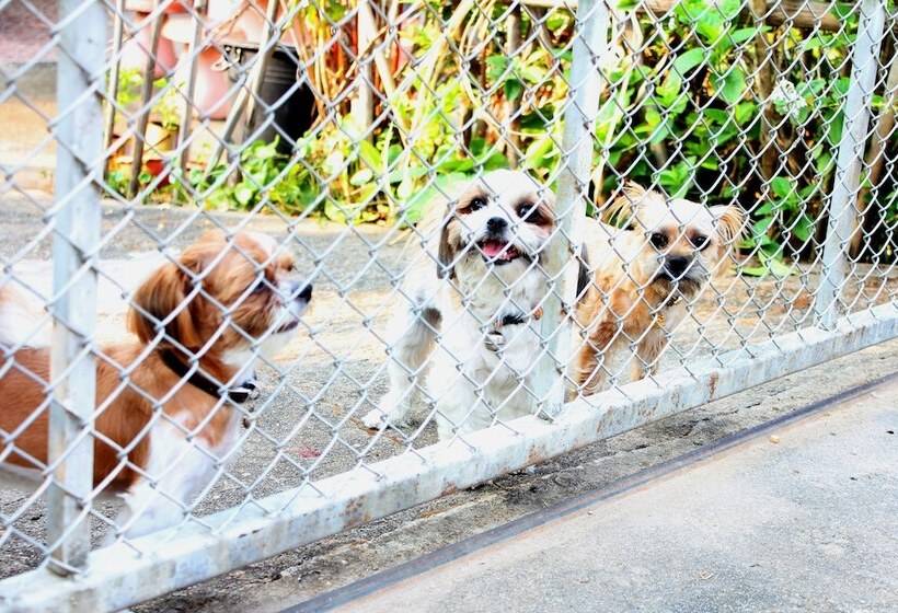 Panzió Ban Muang Pon Home Stay